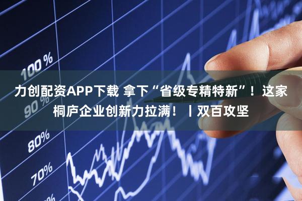 力创配资APP下载 拿下“省级专精特新”！这家桐庐企业创新力拉满！丨双百攻坚