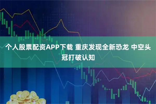 个人股票配资APP下载 重庆发现全新恐龙 中空头冠打破认知