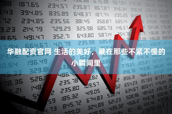 华融配资官网 生活的美好，藏在那些不紧不慢的小瞬间里