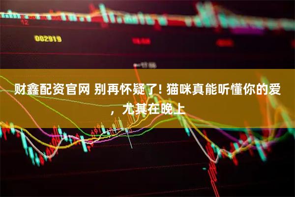 财鑫配资官网 别再怀疑了! 猫咪真能听懂你的爱，尤其在晚上