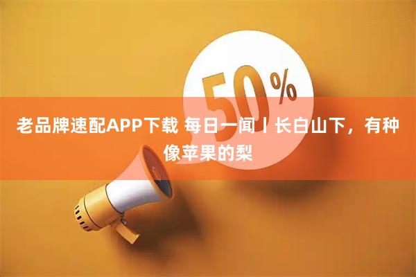 老品牌速配APP下载 每日一闻丨长白山下，有种像苹果的梨