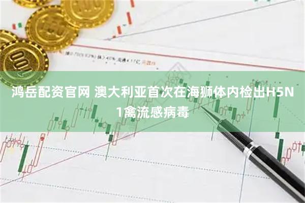 鸿岳配资官网 澳大利亚首次在海狮体内检出H5N1禽流感病毒